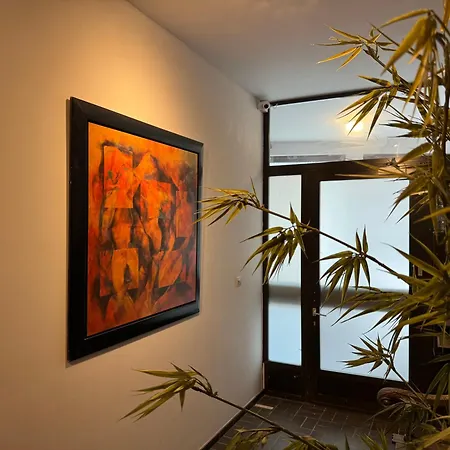 Garden Loft In Center Meir 1fl Appartamento *