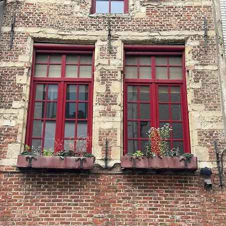 Appartamento Garden Loft In Center Meir 1fl *